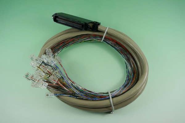 GR11209-002  TELCO-50P 公 Right Angle & 6P2C